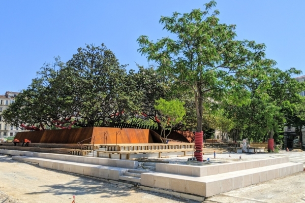 chanitier-la-plaine-ilot-arbre