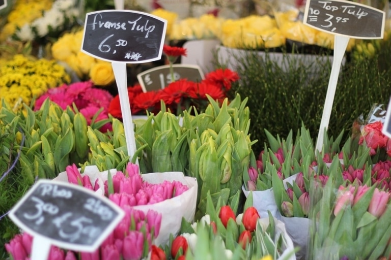 Réouverture du marché aux fleurs : le Vieux Port reprend des couleurs