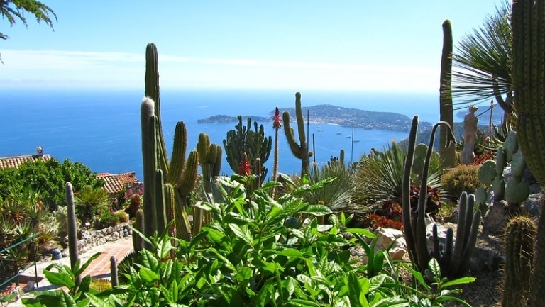 Les plus beaux jardins exotiques à visiter dans le Sud de la France