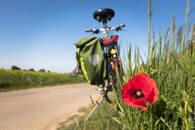 La sélection des meilleures balades à vélo dans la région