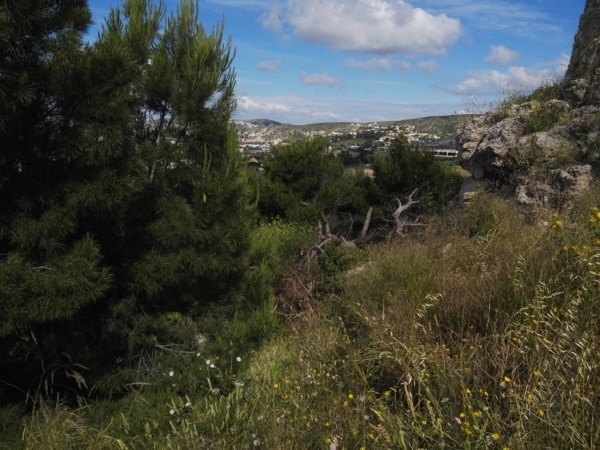 foresta_2