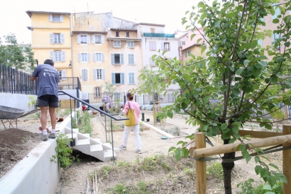 jardin-partagé-panier-place-du-refuge-plantes