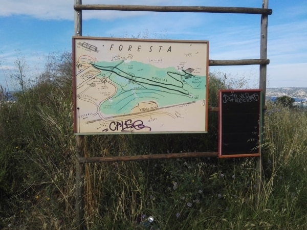 panneau_foresta