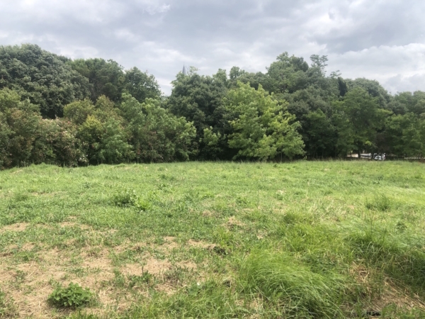 parc-mirabelle-théâtre-plein-air-hors-les-murs