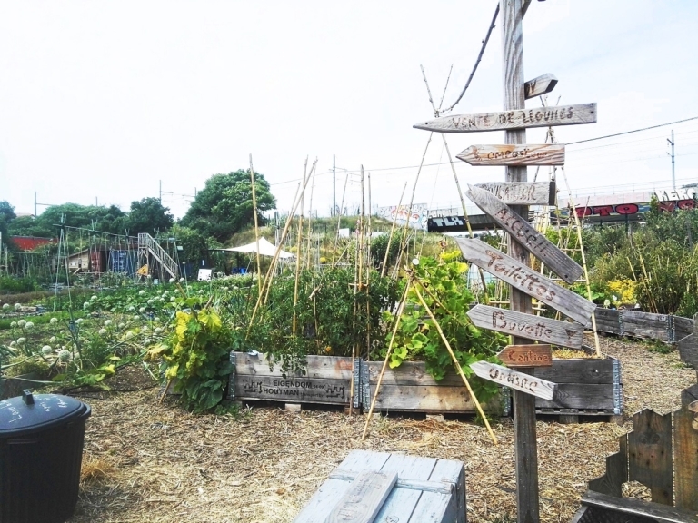 Le Talus : une ferme urbaine « laboratoire de la transition écologique »