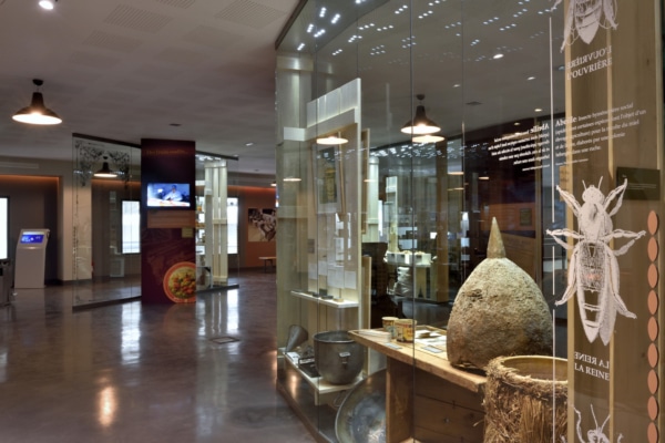 Roy-René-Musée-Aix-100-ans