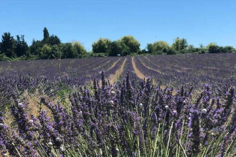 Préservation des sites naturels, soutiens… La Région relance sa campagne de promotion touristique
