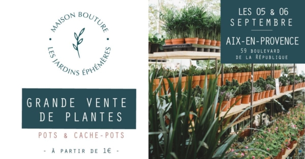 maison-bouture-plantes
