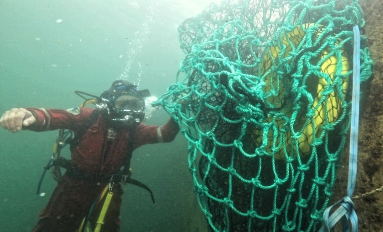 Le tour des projets engagés pour la préservation marine dans la région