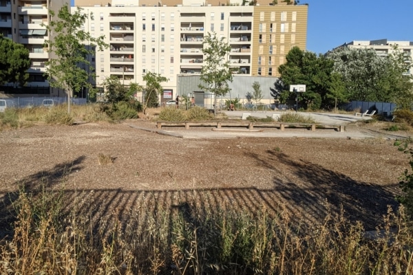 PXL_20210624_174410718