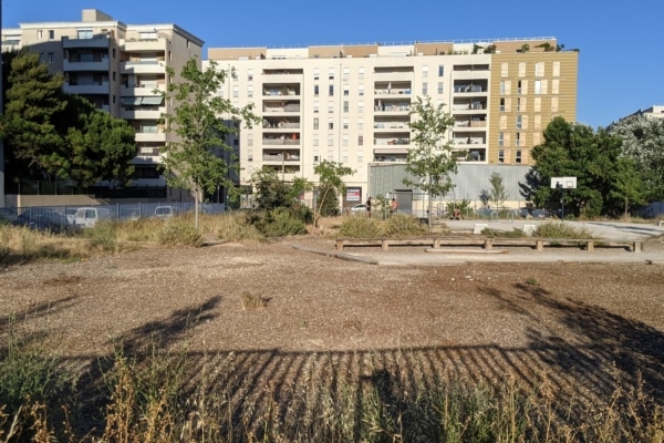 PXL_20210624_174411198