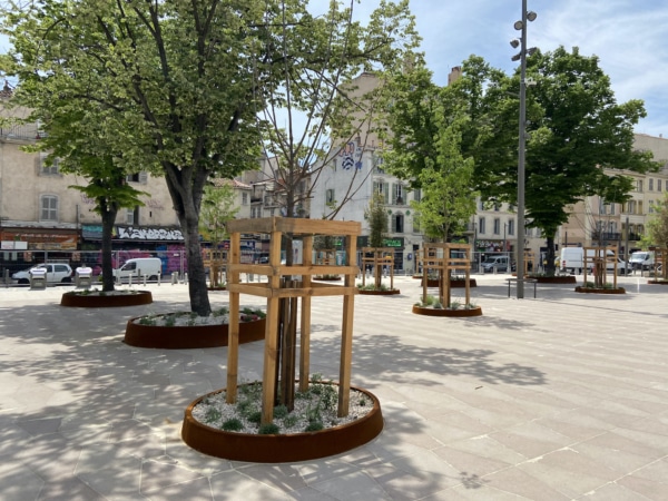 arbre-plaine-place