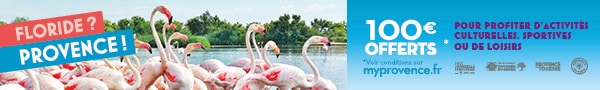 banniere floride 600x90px (002)