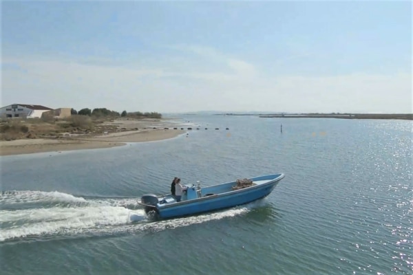bateau-carteau-huitre-camargue-rhone