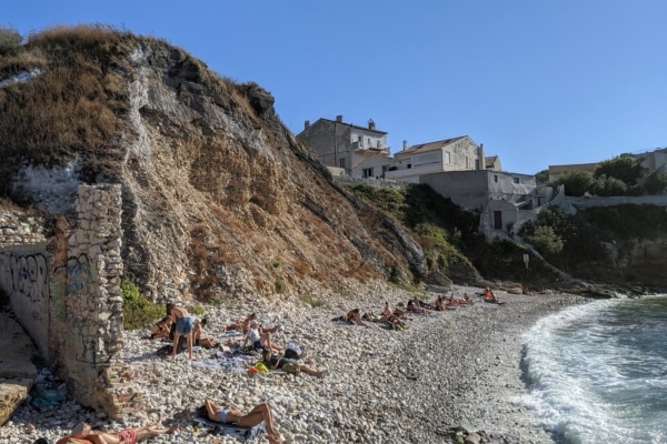 crassier-plage-legre-mante-ginkgo