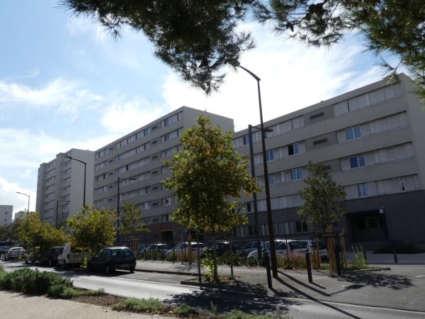 cyclamens-la-soude-hlm-hmp-5