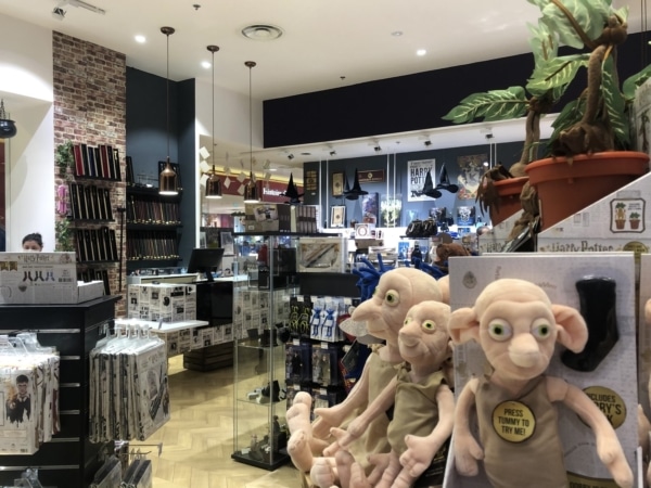 dobby-repaire-sorcier-terrasse-port