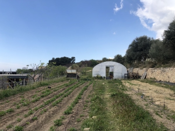 domaine-party-colineo