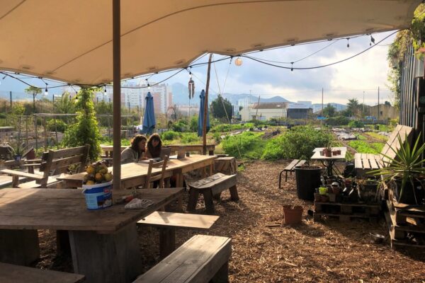 , Jardinage à l’école, serres bioclimatiques, festivals : Au Talus, les projets continuent de pousser, Made in Marseille
