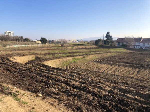 , Au nord de Marseille, la ferme Capri veut sensibiliser les habitants &agrave; l&rsquo;agriculture, Made in Marseille