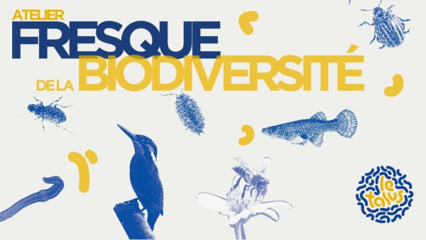 fresque-biodiversite-environnement-talus