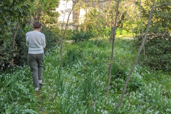 le-15-tiers-lieu-lica-chute-lavie-jardin