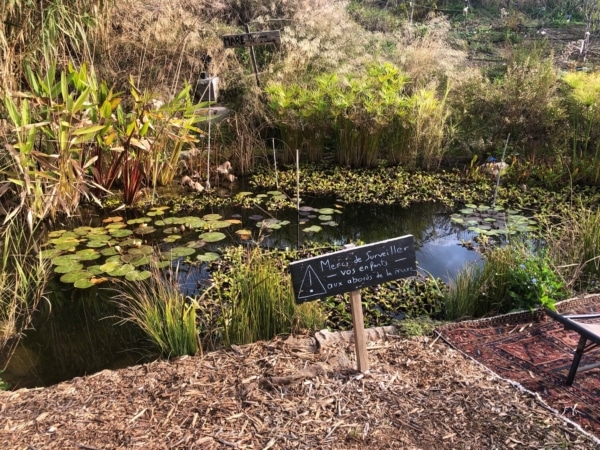 , Jardinage &agrave; l&rsquo;&eacute;cole, serres bioclimatiques, festivals : Au Talus, les projets continuent de pousser, Made in Marseille