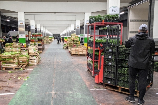 min-arnavaux-carreau-producteur-marche
