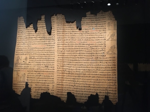 papyrus-autre-expo-granet