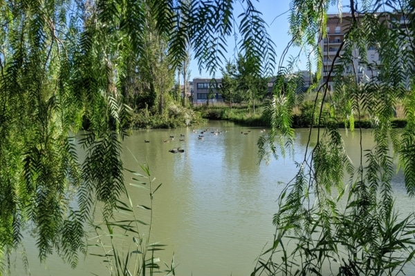 parc-26-centenaire-22