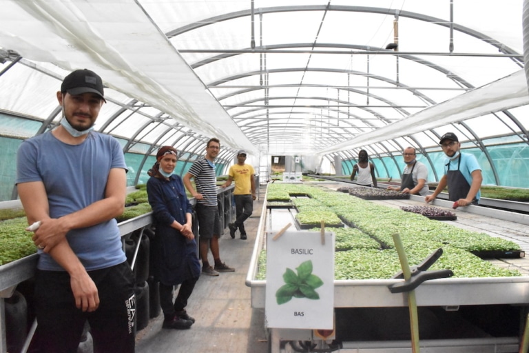Des jardins potagers en projet dans les collèges des quartiers Nord de Marseille