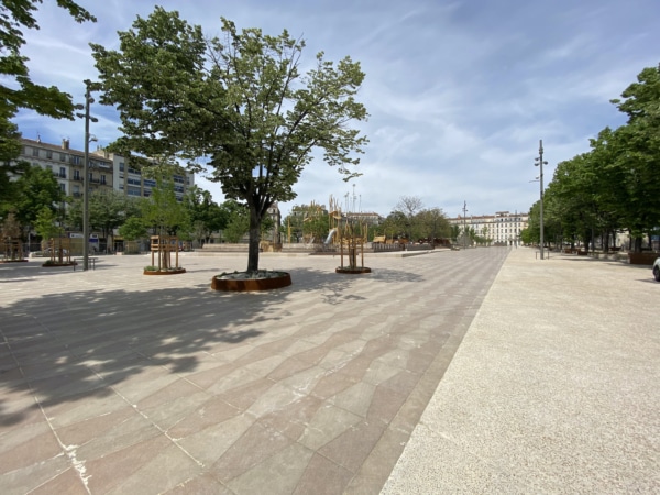 plaine-jeu-arbre-enfant