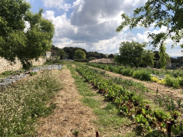 potager-colineo