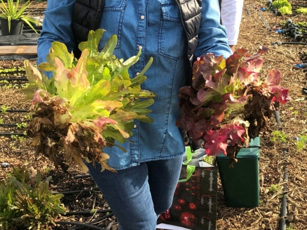 , Jardinage &agrave; l&rsquo;&eacute;cole, serres bioclimatiques, festivals : Au Talus, les projets continuent de pousser, Made in Marseille