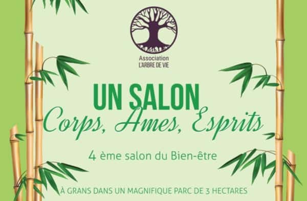 salon-bien-etre-massage
