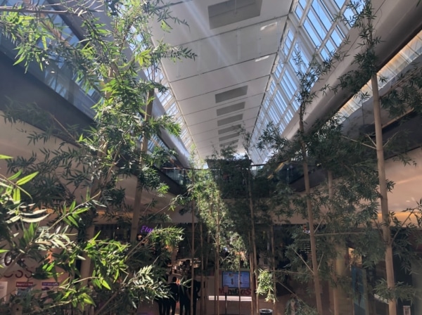 terrasses-centre-commercial