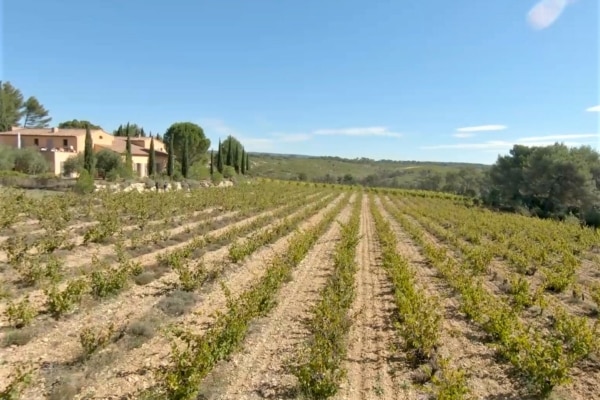 tracteur-vigne-villa-mina-vin-bio-champ-agriculture-20