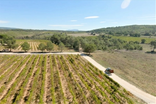 tracteur-vigne-villa-mina-vin-bio-champ-agriculture0