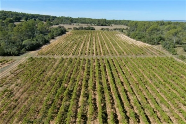 vigne-provence-drone-saint-cannat0