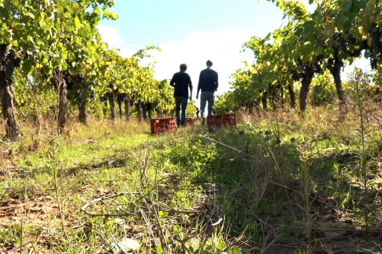 L&rsquo;agriculture régionale doit redoubler d&rsquo;efforts pour devenir durable en 2050