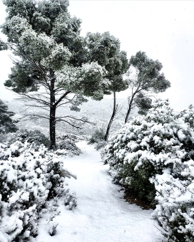 Vos photos de la neige à Marseille le 10 janvier 2021