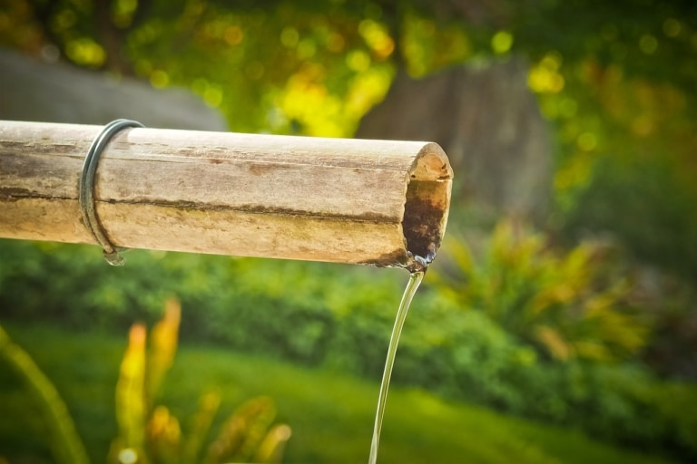 Une entreprise aixoise utilise le bambou pour assainir les eaux usées