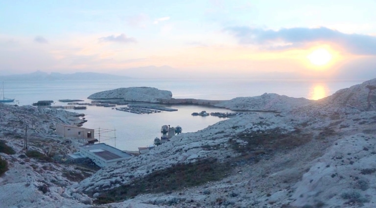Reportage au Frioul : Provence Aquaculture, la première ferme aquacole bio en Europe