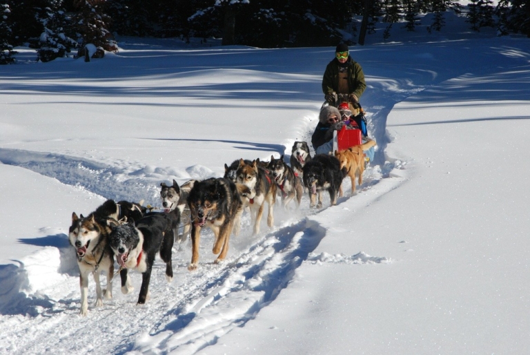 Sélection : Les activités proposées dans les Alpes du Sud pendant les vacances d&rsquo;hiver