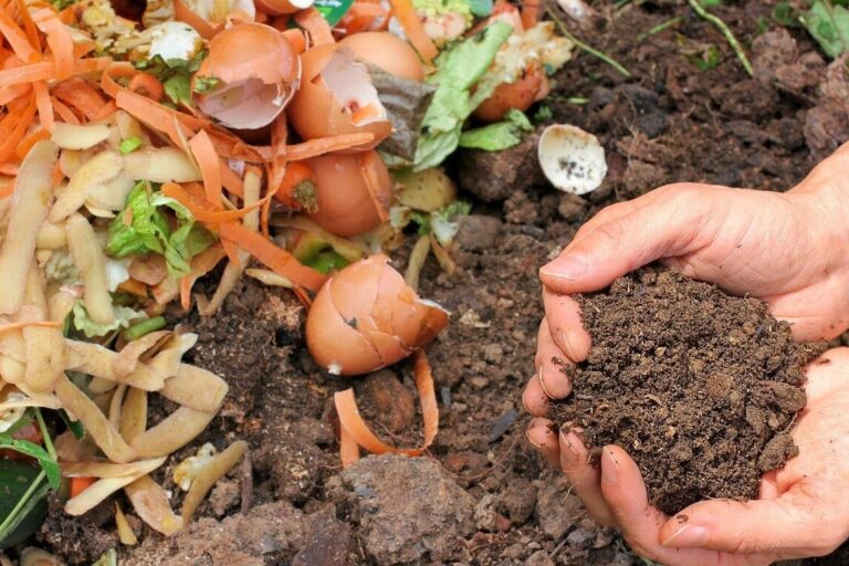 Vidéo | Comment les Alchimistes valorisent les bio-déchets marseillais ?