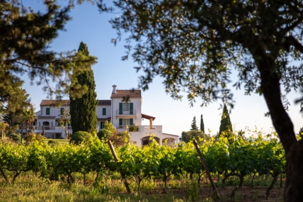 navicelle-soutien-restaurateur-vignoble