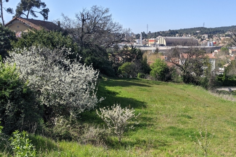 Marseille : une nouvelle vague d&rsquo;agriculteurs bio s&rsquo;installe en ville