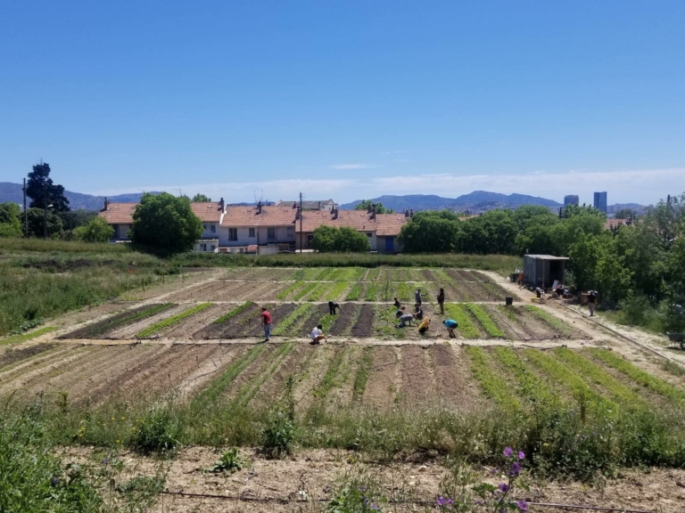 Les Journées des Agricultures Urbaines en Méditerranée reviennent pour une 3e édition