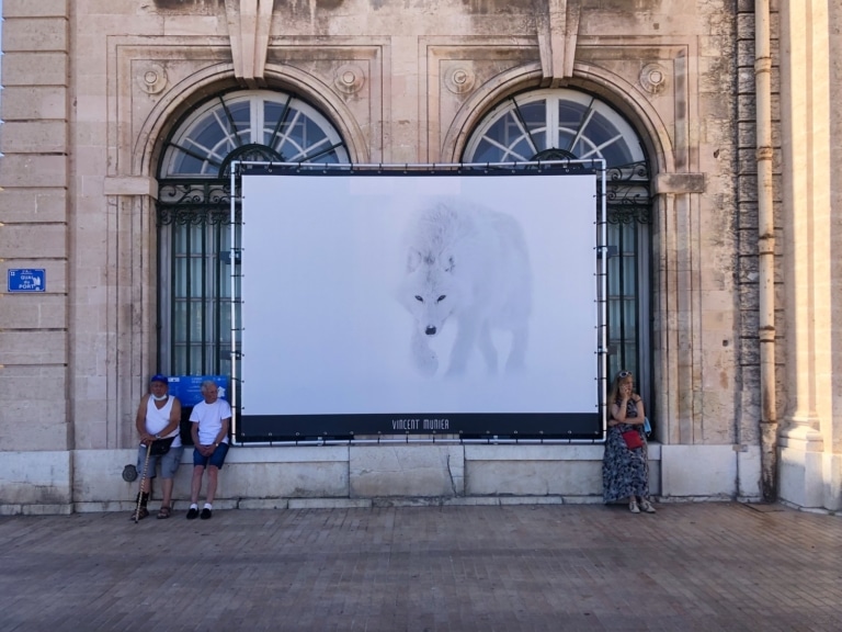 Marseille : les banquises au cœur d&rsquo;une expo pour sensibiliser au changement climatique