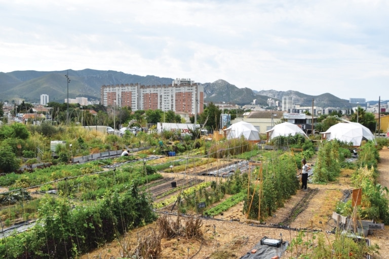 Agriculture urbaine à Marseille : le champ des possibles